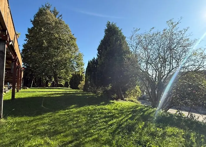 Alpina Loewen 酒店 圣玛尔根