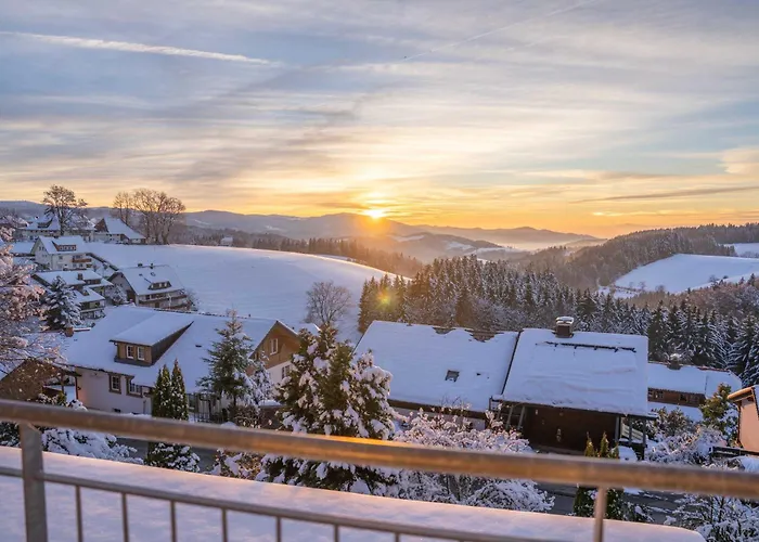 Alpina Loewen 酒店