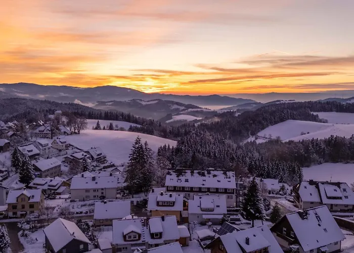 Alpina Loewen 酒店 圣玛尔根