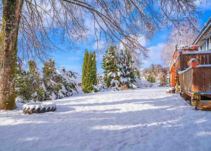 酒店 Alpina Loewen 圣玛尔根