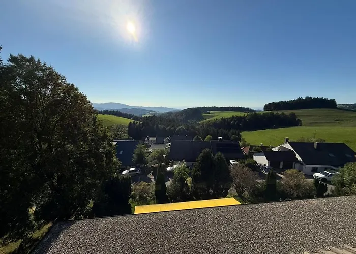 Alpina Loewen 圣玛尔根