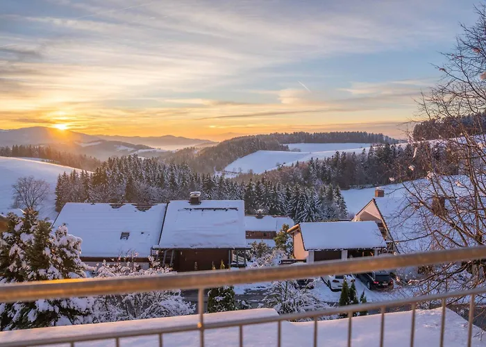 Alpina Loewen 酒店 5*