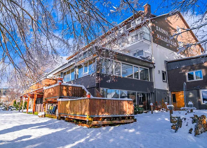 Alpina Loewen 酒店 圣玛尔根