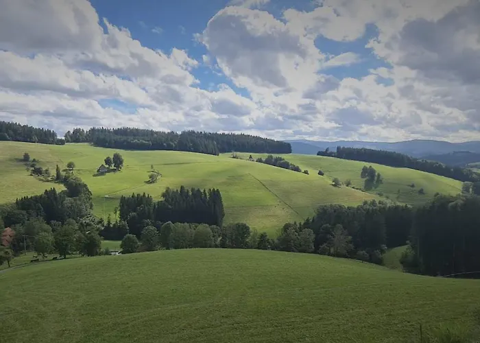 Alpina Loewen 酒店 5*