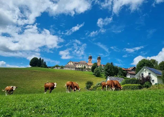 Alpina Loewen 圣玛尔根