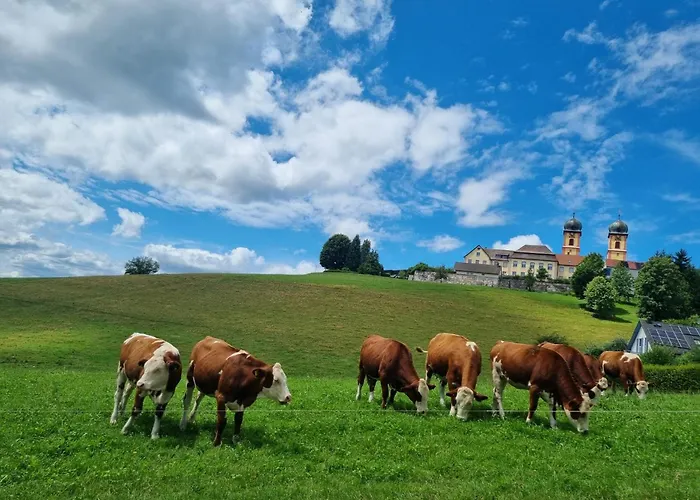 Alpina Loewen 5* 圣玛尔根
