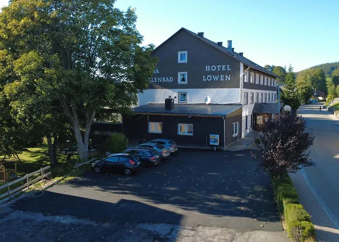 酒店 Alpina Loewen