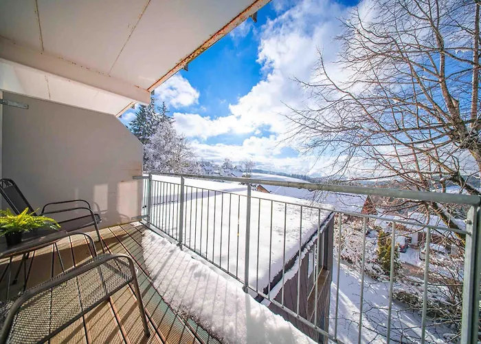 酒店 Alpina Loewen