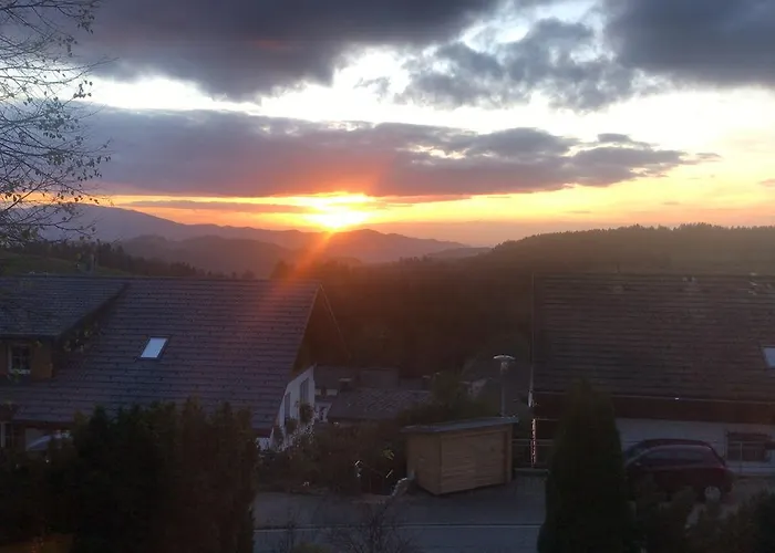 Hotel Alpina Loewen Hotel Sankt Margen