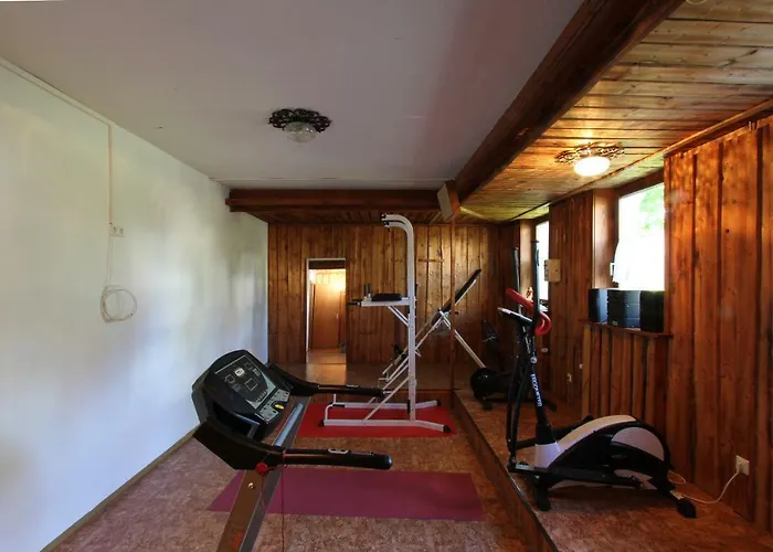 Alpina Loewen 酒店 5*