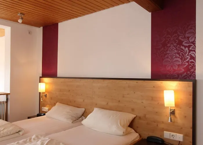 Alpina Loewen 酒店