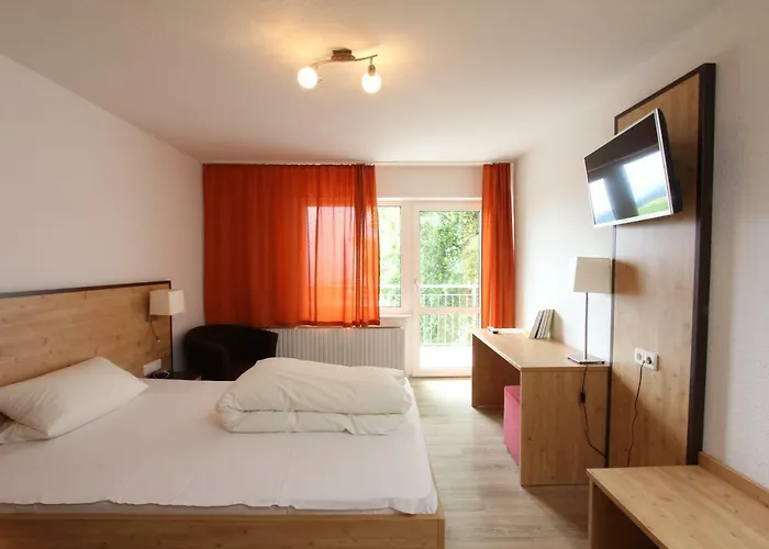 酒店 Alpina Loewen