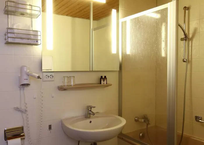 酒店 Alpina Loewen 5*